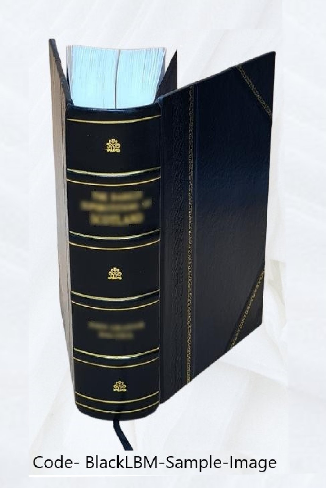 Vitalogy Or Encyclopedia Of Health And Home Adapted For Home And [Leather Bound]