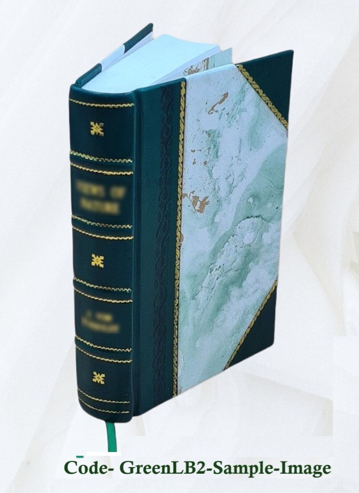 A Handbook Of Physical Diagnosis 1890 [Leather Bound]