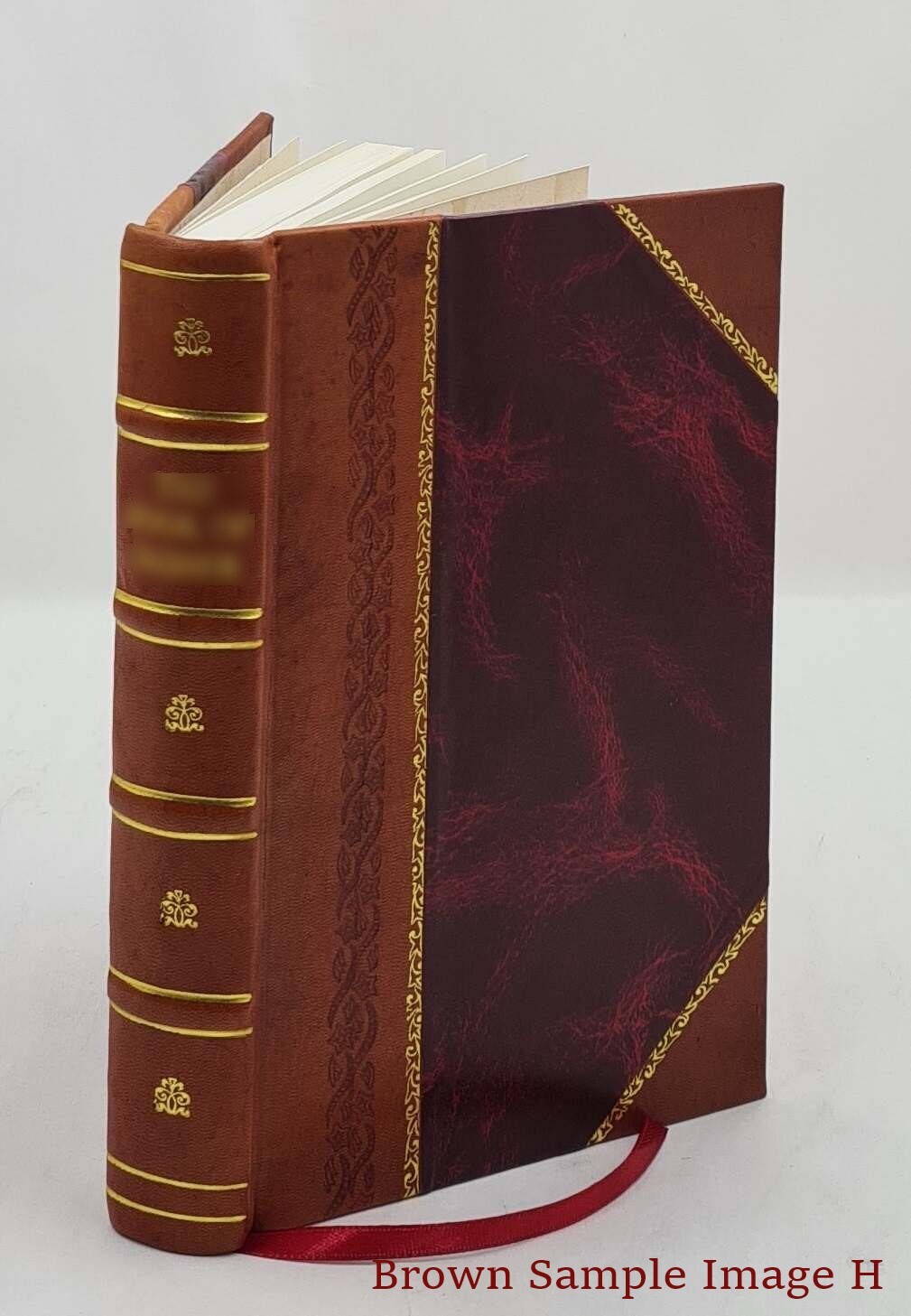 Lectures On The Labour Question 1878 By Thomas Brassey [Leather Bound]