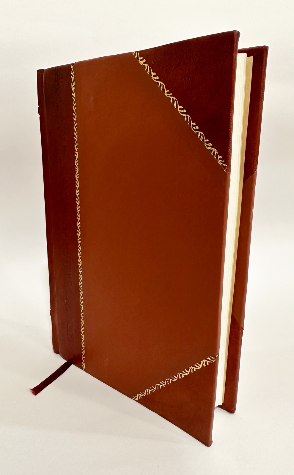 Officialis Curiae Ecclesiasticae … by Augustinus Mathaeucci [Leather Bound]