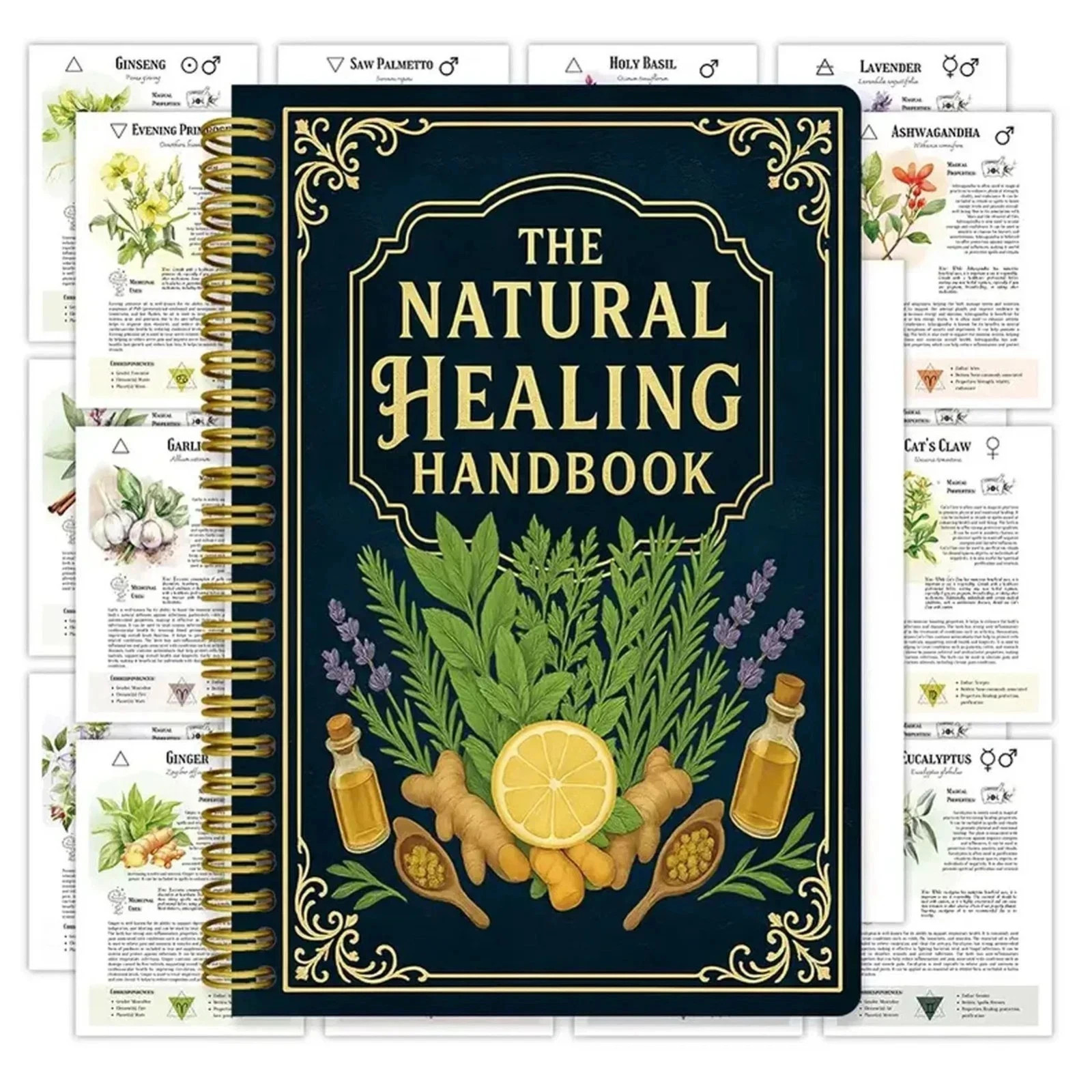 The Natural Healing Handbook, Spiral-Bound Guide For Herbal Remedies And Natural