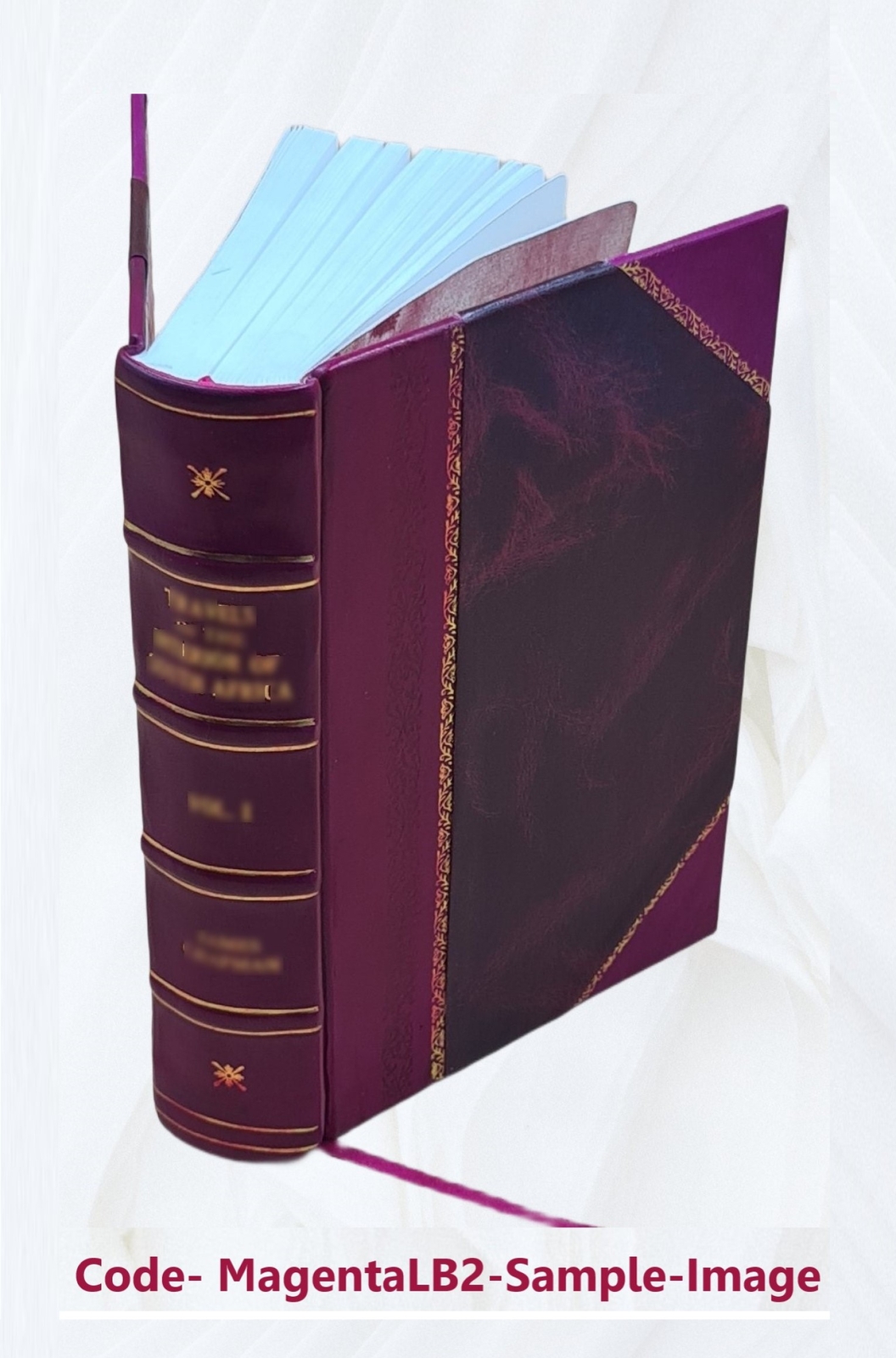 A Handbook Of Physical Diagnosis 1890 [Leather Bound]