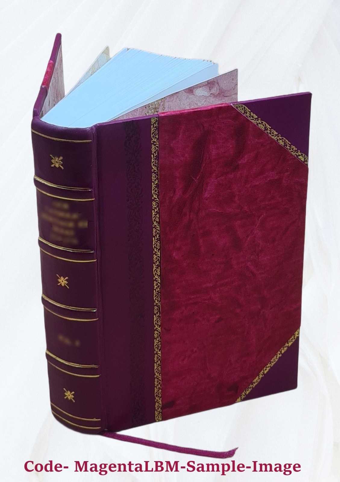 Vitalogy Or Encyclopedia Of Health And Home Adapted For Home And [Leather Bound]