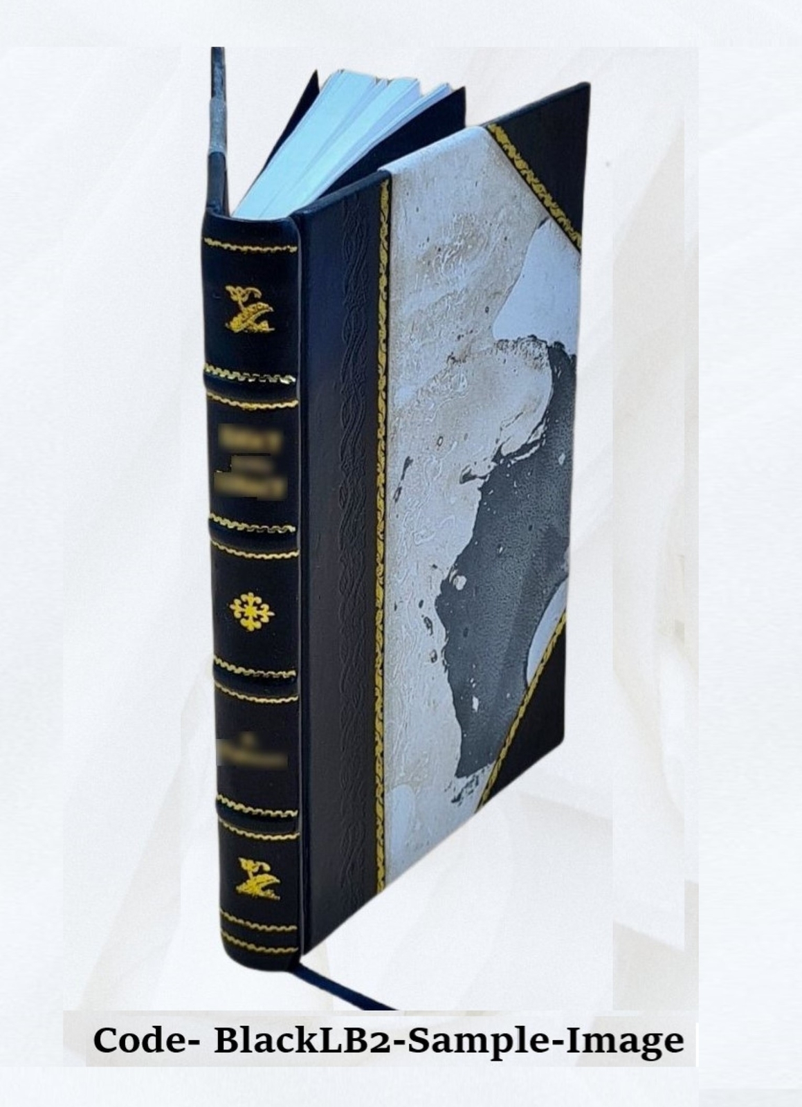 A Handbook Of Physical Diagnosis 1890 [Leather Bound]