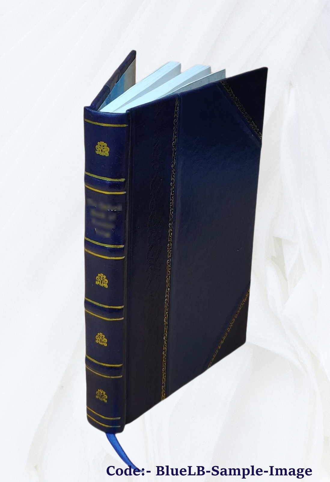 Our Lady Of Lourdes 1906 By Lasserre, Henri [Leather Bound]