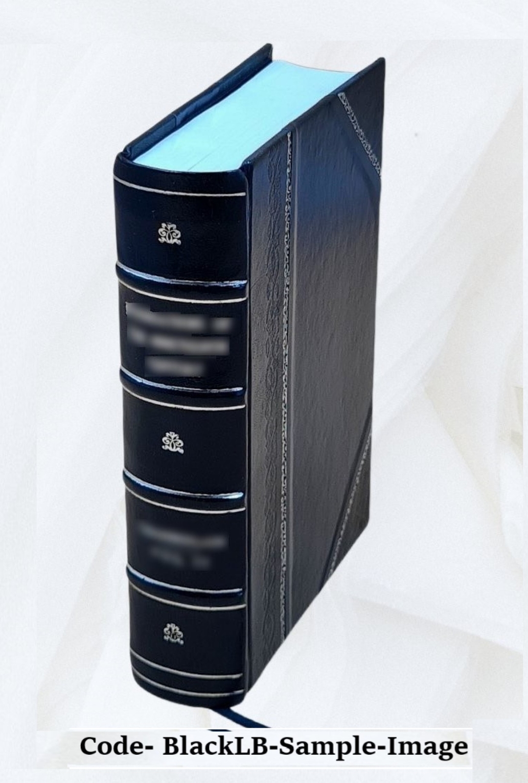 A Handbook Of Physical Diagnosis 1890 [Leather Bound]