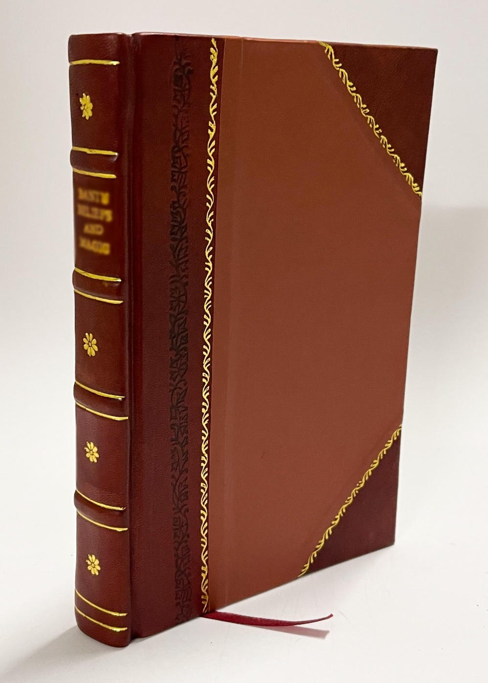 Abdul Hamid Revolutionnaire Ou Ce Qu’On Ne Peut Pas Dire En Tur [Leather Bound]