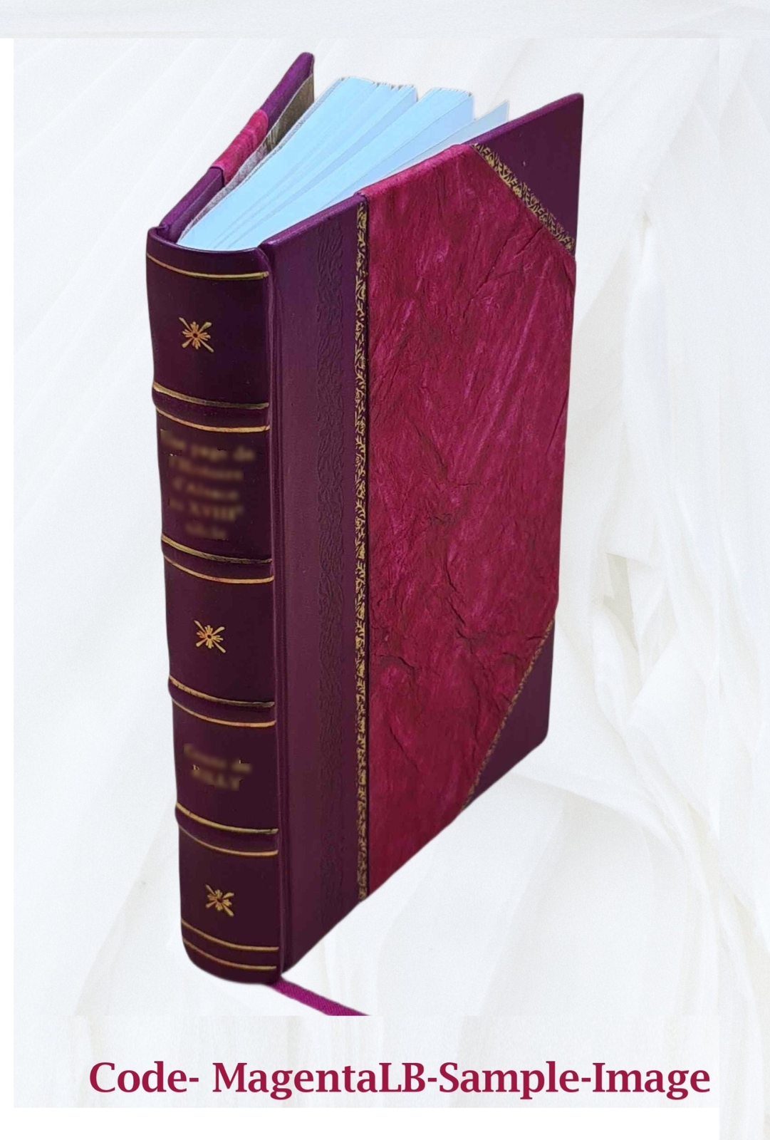 A Handbook Of Physical Diagnosis 1890 [Leather Bound]