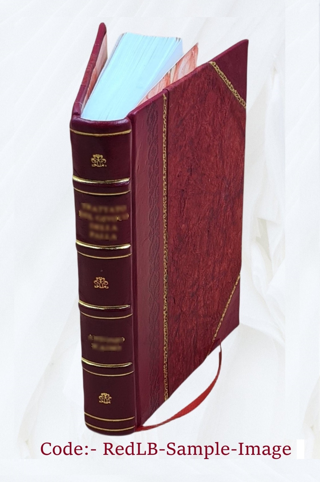 A Handbook Of Physical Diagnosis 1890 [Leather Bound]