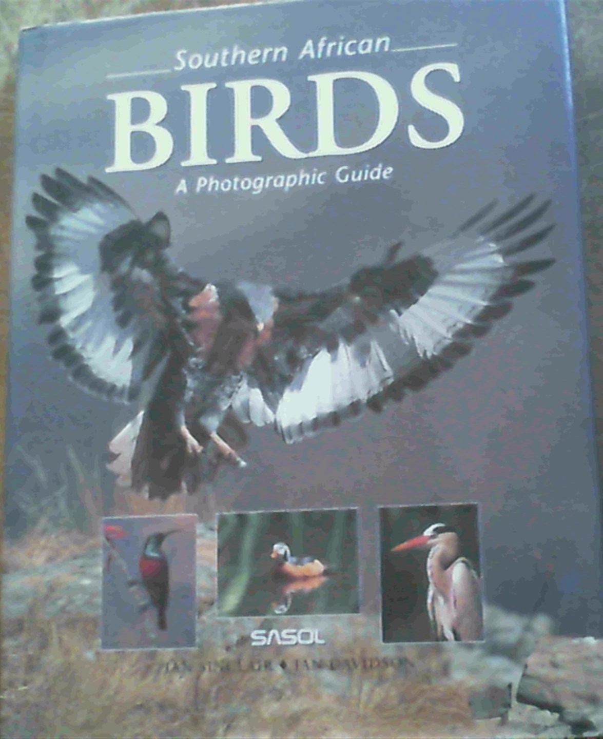 Southern African Birds: A Photographic Guide
