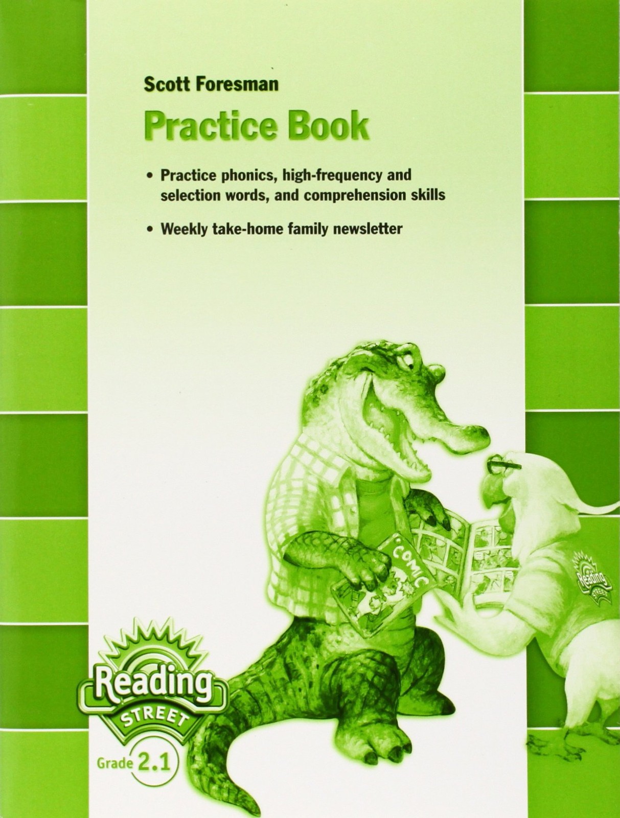 Scott Foresman Practice Book (Reading Street, Grade 2.1)