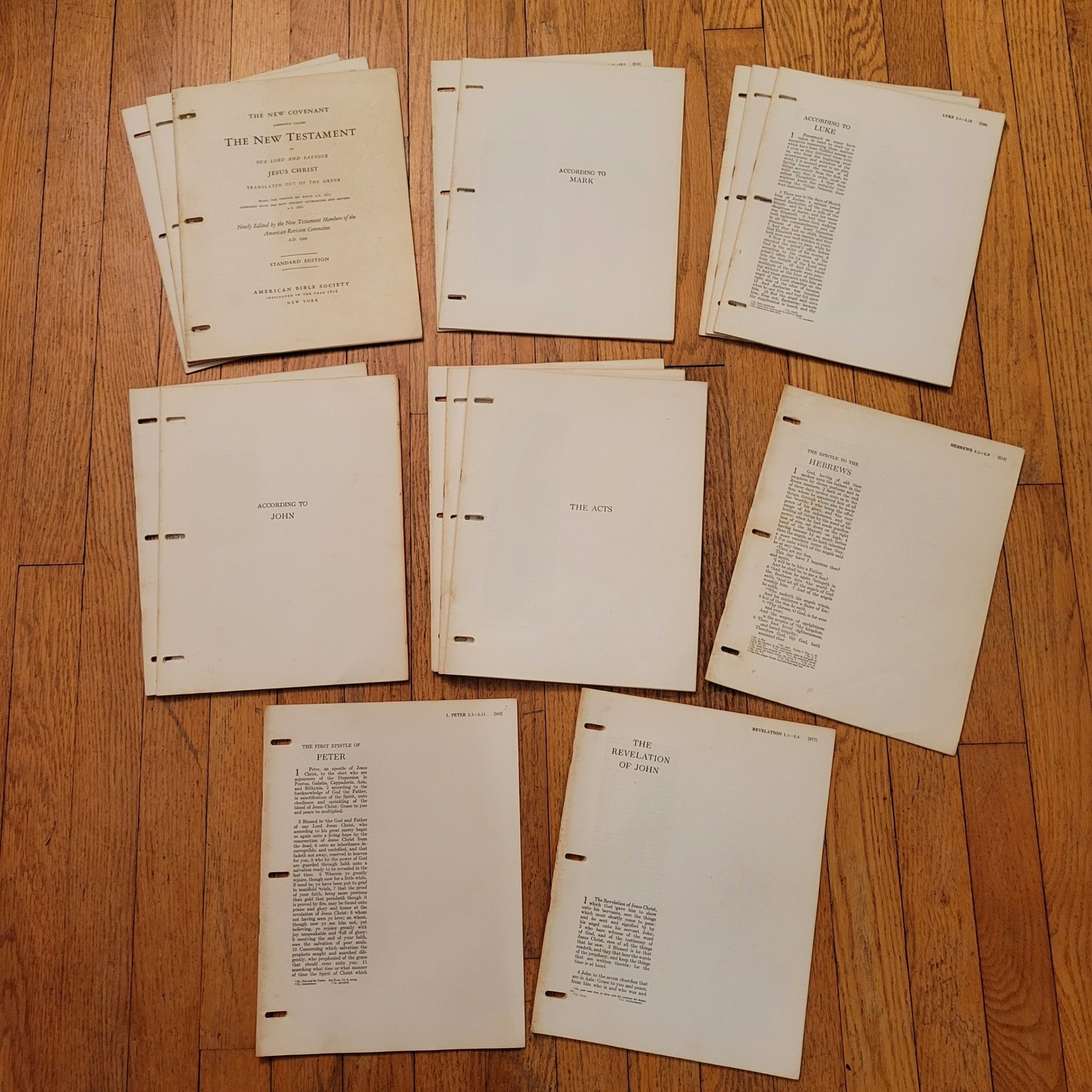 American Bible Society New Testament Wide Margin Loose Leaf Pages INCOMPLETE