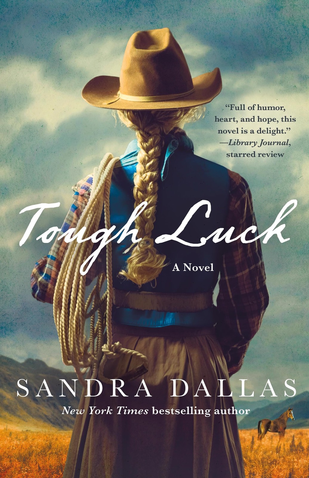 Tough Luck: A Novel
